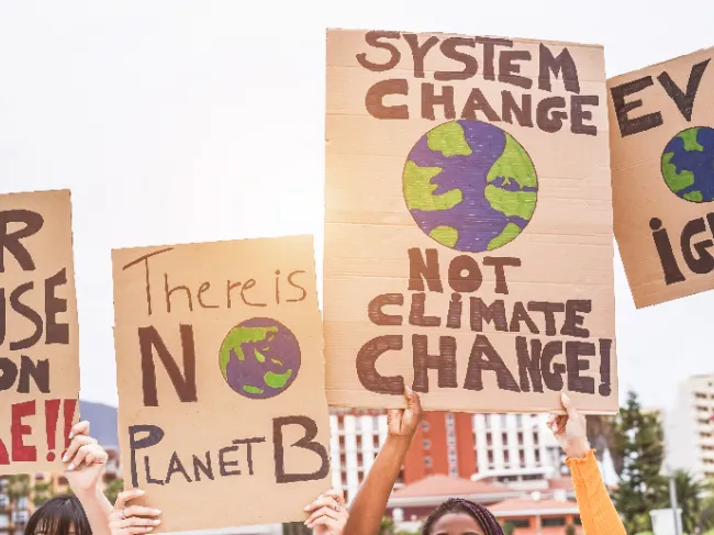climate activist signs